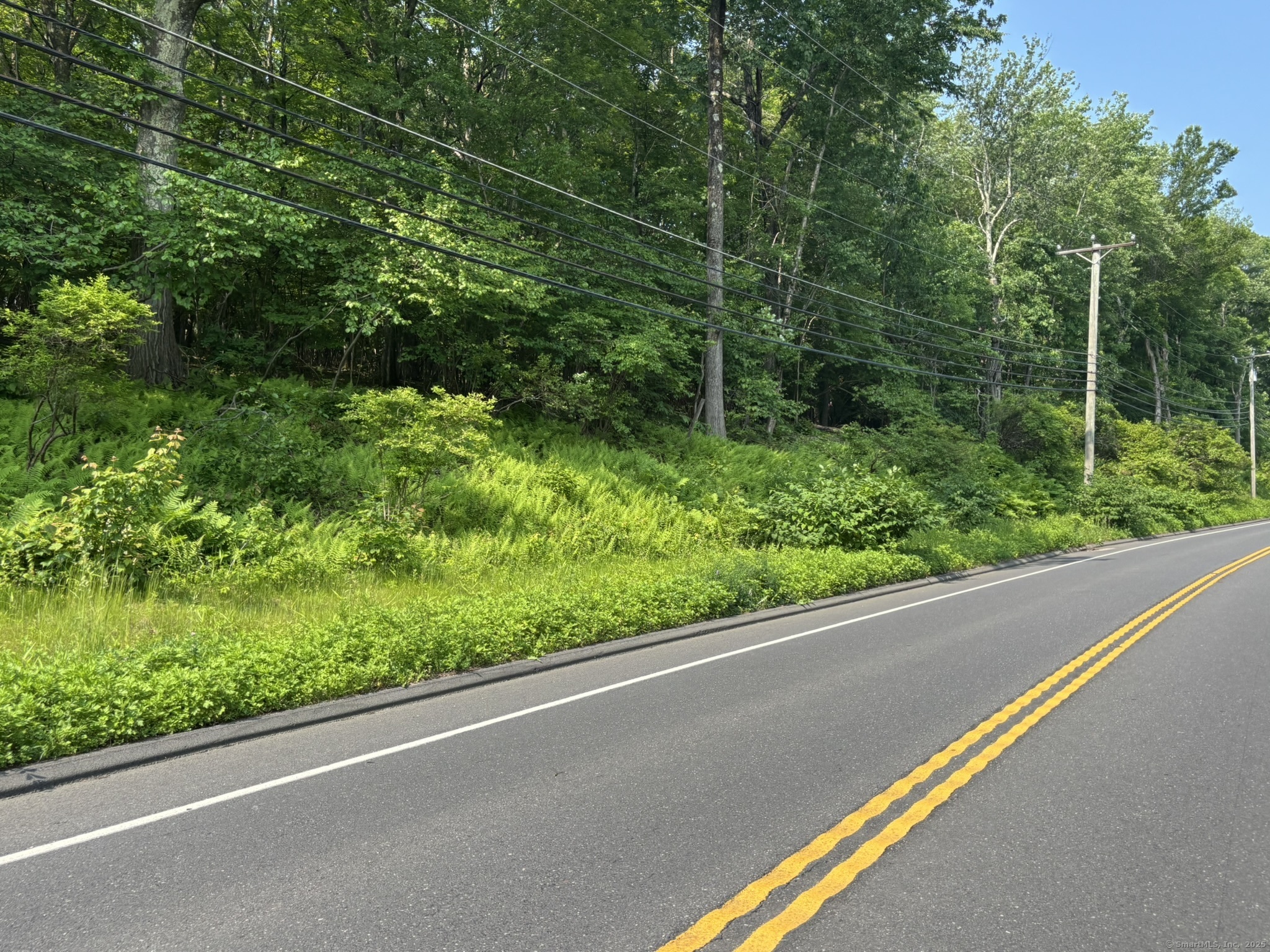 44 Cheshire Road Prospect, CT 06712 - Photo 24 of 39 a view of a green field with plants and large trees