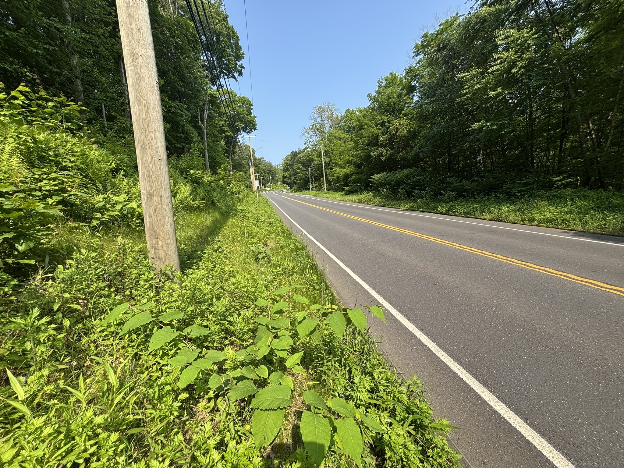 44 Cheshire Road Prospect, CT 06712 - Photo 3 of 39 a view of a garden