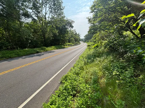a view of a forest with trees in the background