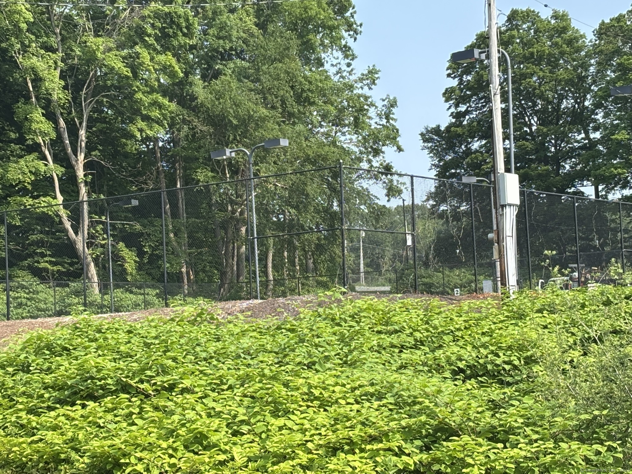 44 Cheshire Road Prospect, CT 06712 - Photo 9 of 39 a small garden covered with trees
