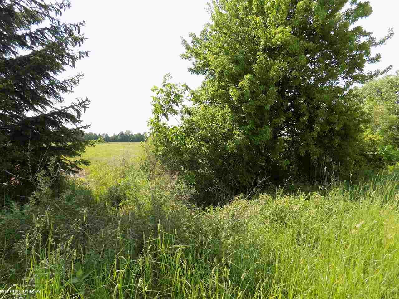 0 Cowhey Road Memphis, MI 48041 - Photo 13 of 13