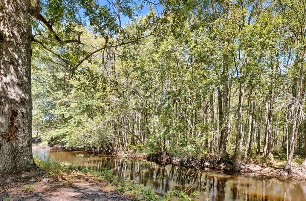 122 Slab Landing Road Ridgeville, SC 29472 - Photo 11 of 40 42450_10