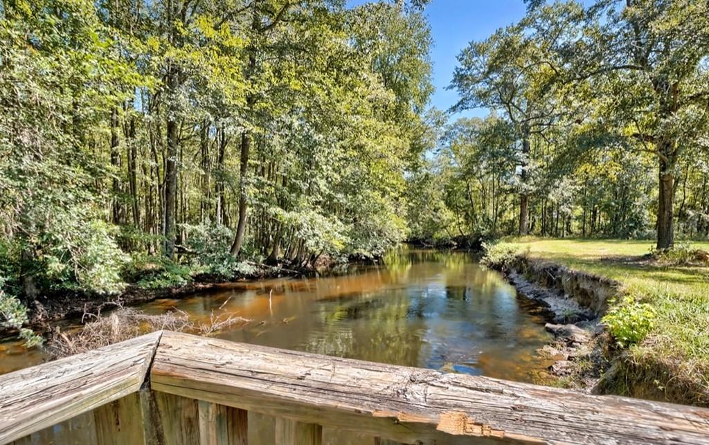 122 Slab Landing Road Ridgeville, SC 29472 - Photo 35 of 40 42450_34