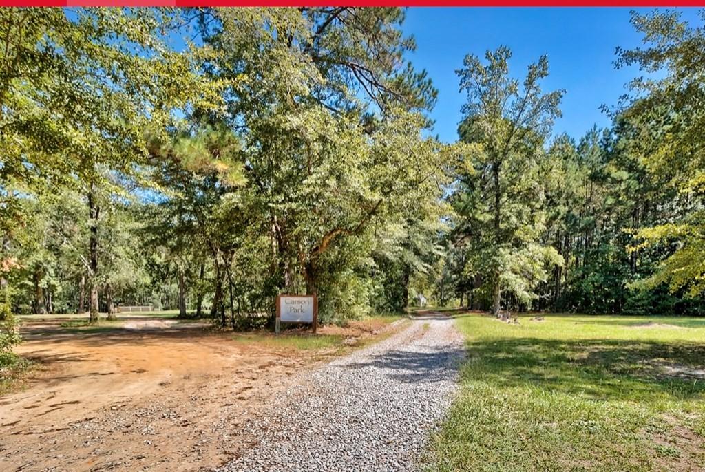 122 Slab Landing Road Ridgeville, SC 29472 - Photo 7 of 40 42450_6