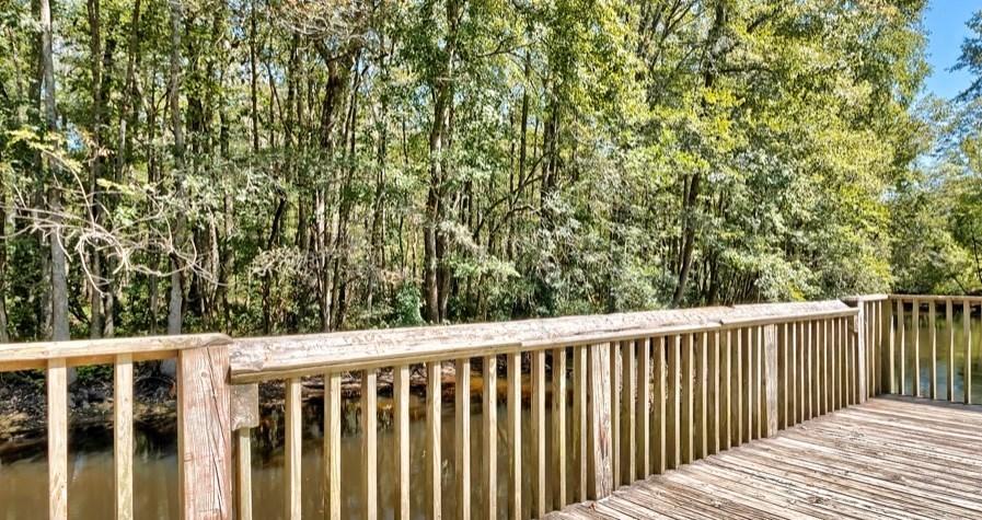 122 Slab Landing Road Ridgeville, SC 29472 - Photo 8 of 40 42450_7