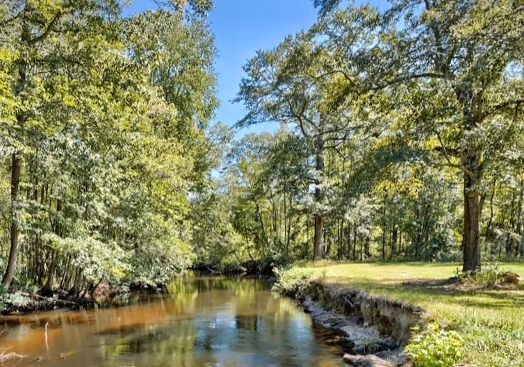 122 Slab Landing Road Ridgeville, SC 29472 - Photo 9 of 40 42450_8
