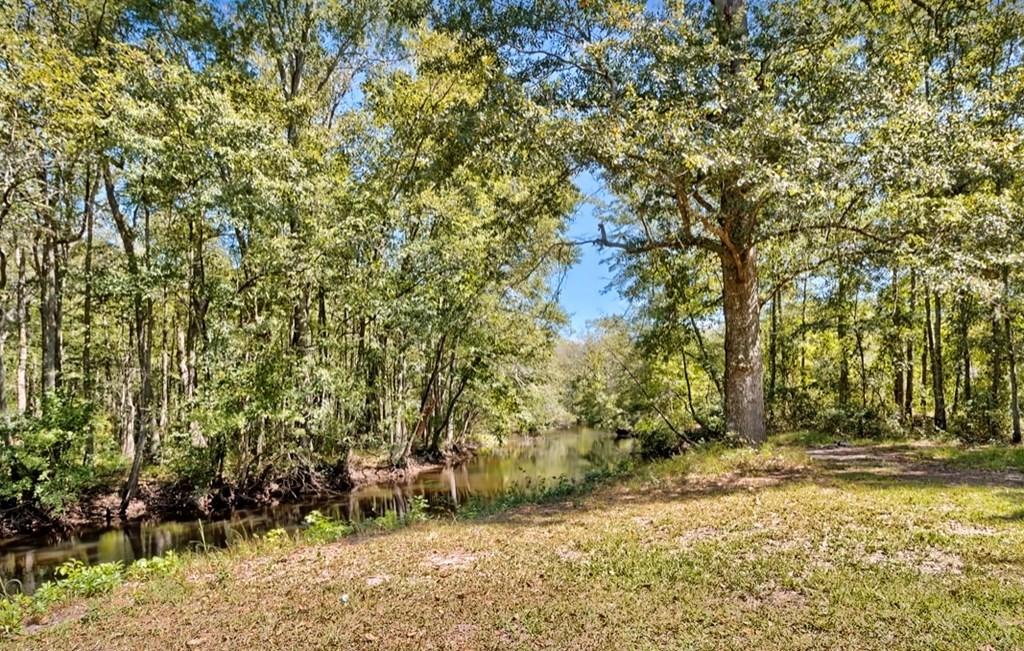 122 Slab Landing Road Ridgeville, SC 29472 - Photo 10 of 40 42450_9
