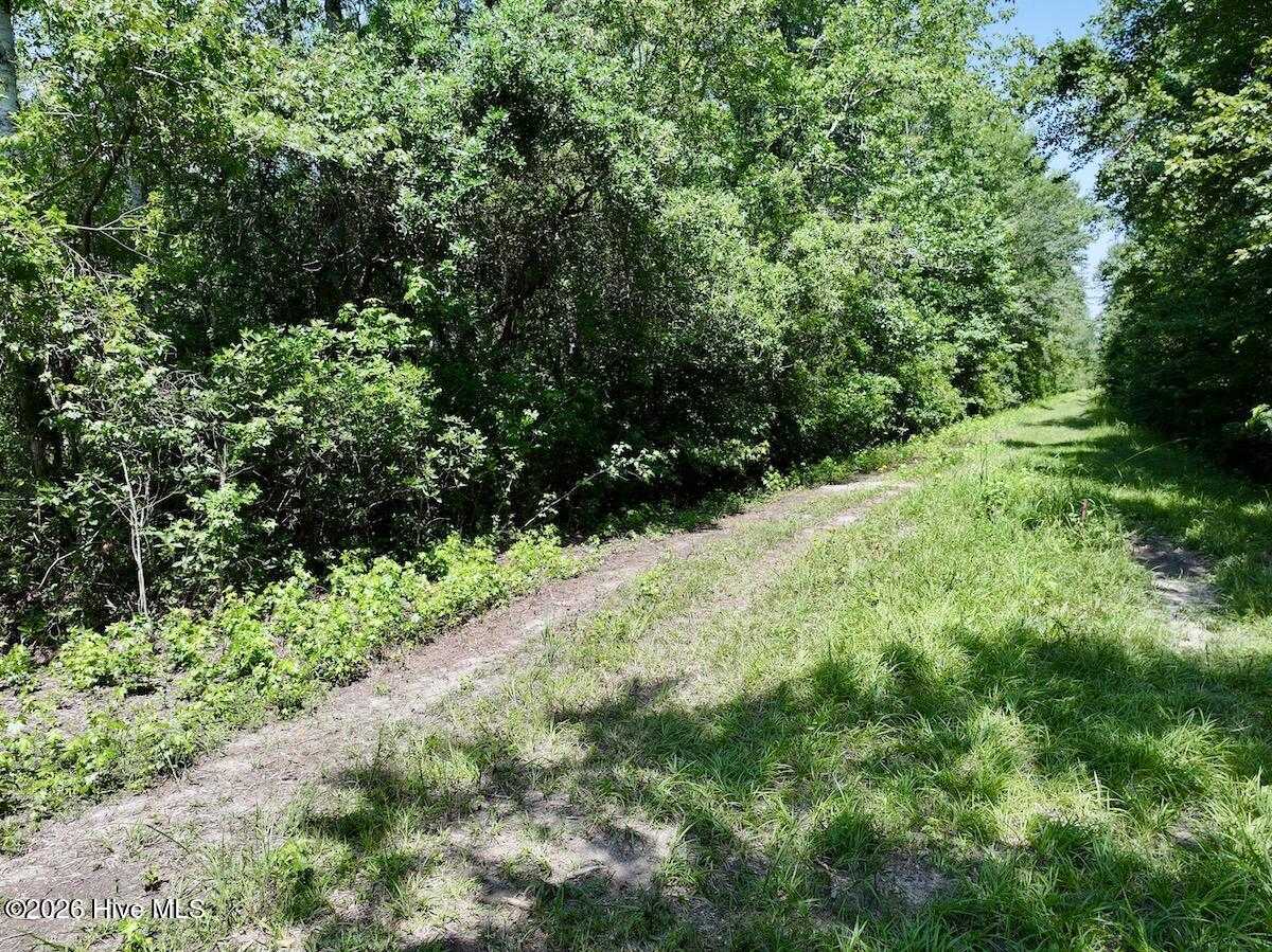 28 Guinea Mill Road Ernul, NC 28527 - Photo 11 of 21