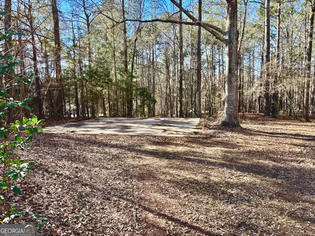 a view of outdoor space with deck and trees