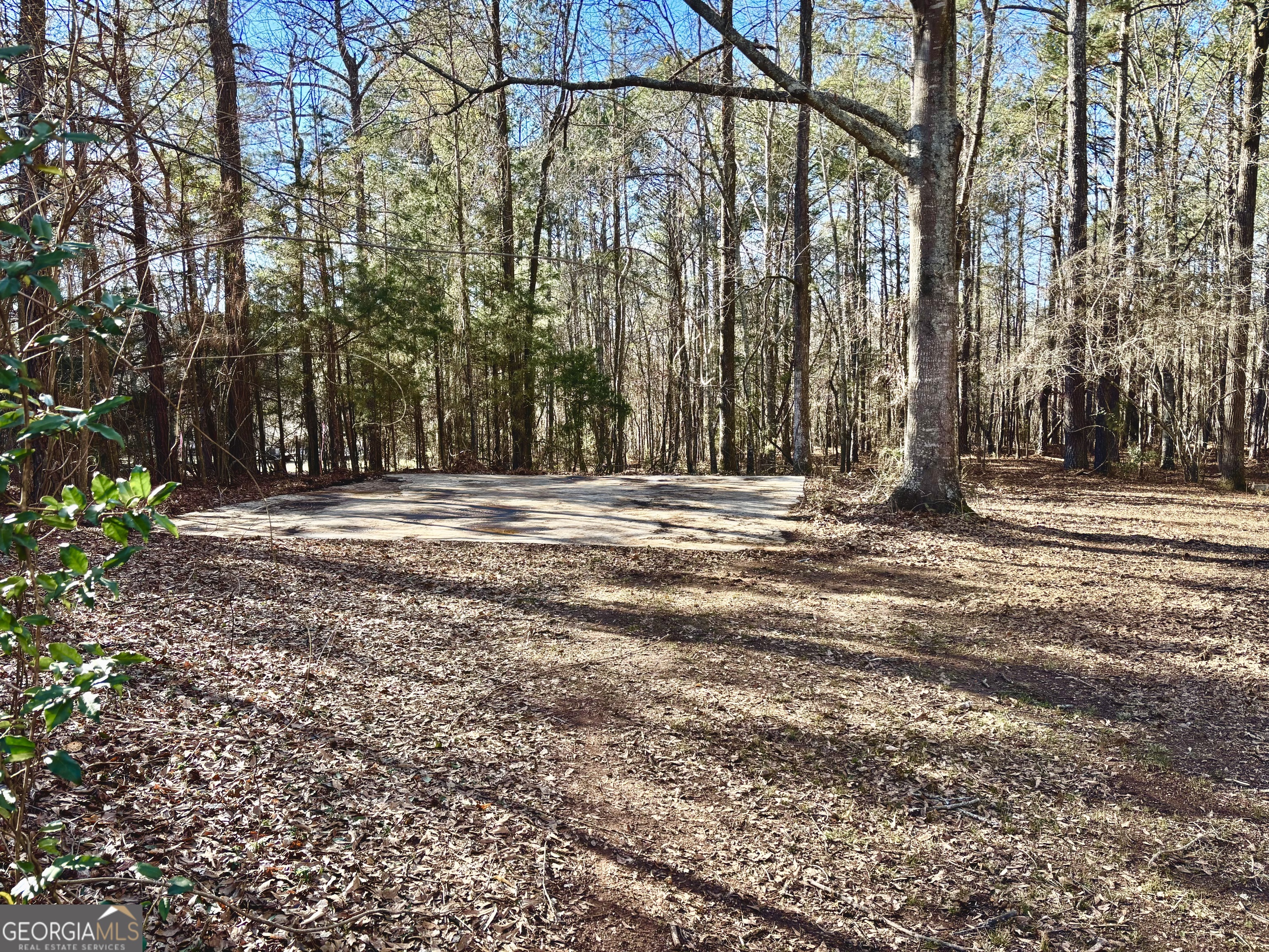 56 John Lovelace Road LaGrange, GA 30241 - Photo 7 of 26 a view of outdoor space with deck and trees
