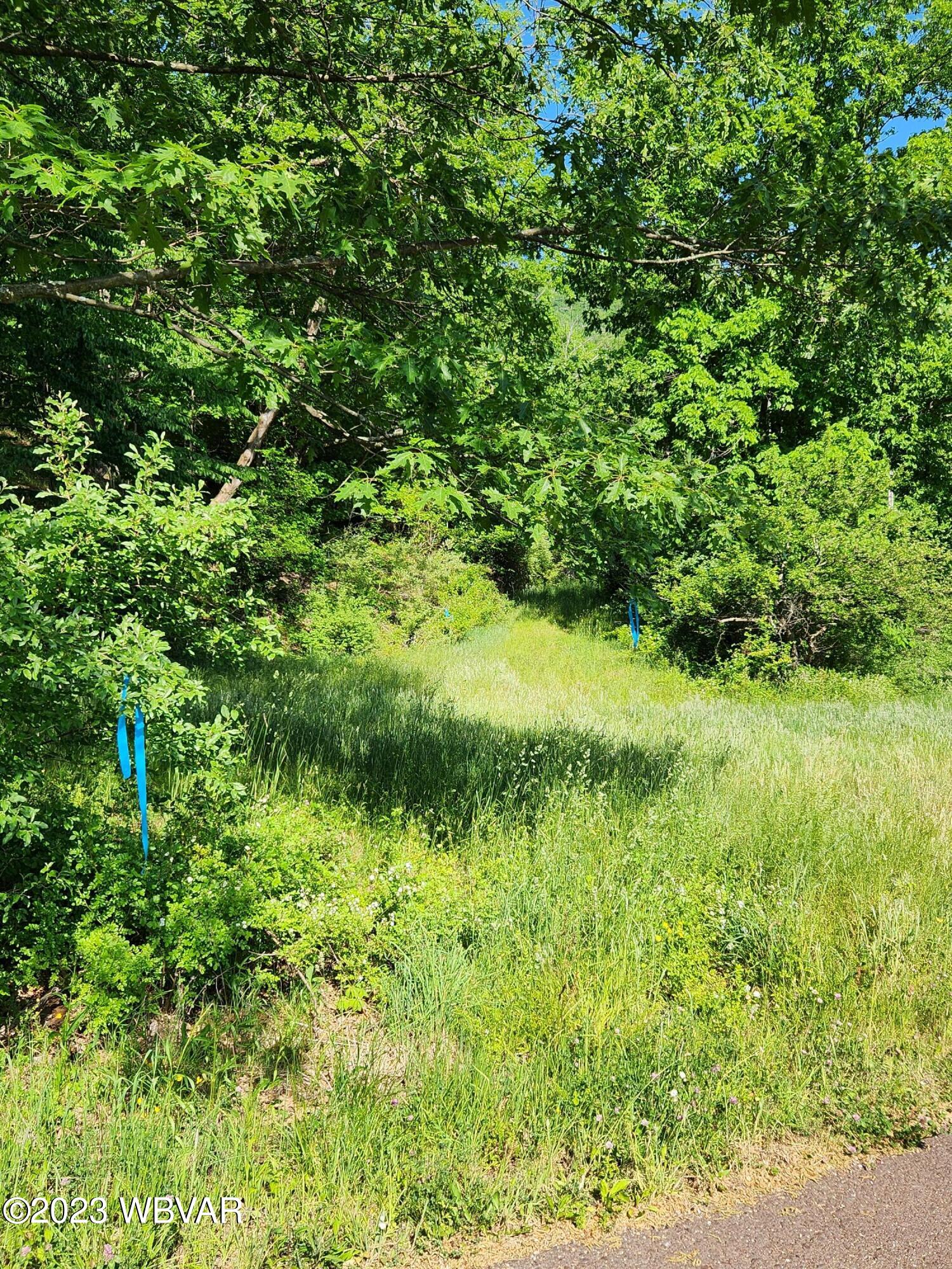 Champion Hill Road Muncy Valley, PA 17758 - Photo 19 of 19 Gallery Image 19