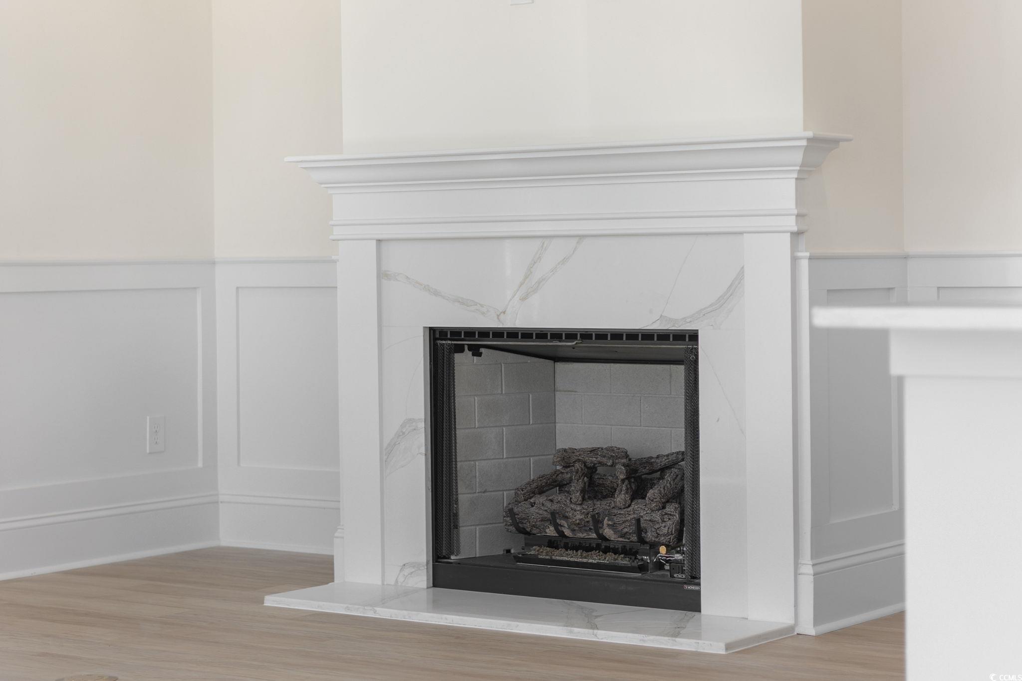 965 Hackler Street, Unit E Myrtle Beach, SC 29577 - Photo 10 of 36 Detailed view of a decorative wall, wainscoting, wood finished floors, and a premium fireplace