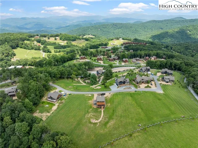 an aerial view of residential houses with outdoor space and trees