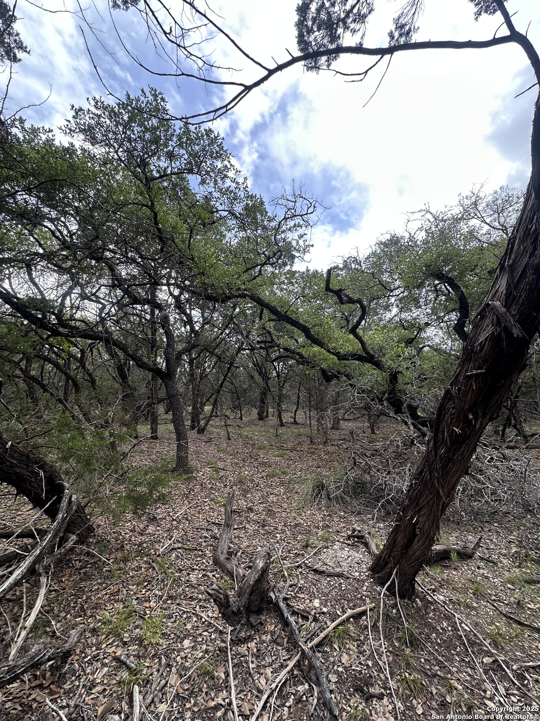 Unit 12 Block 7 Track 4 5 6 San Antonio, TX 78260 - Photo 6 of 9 a view of a yard