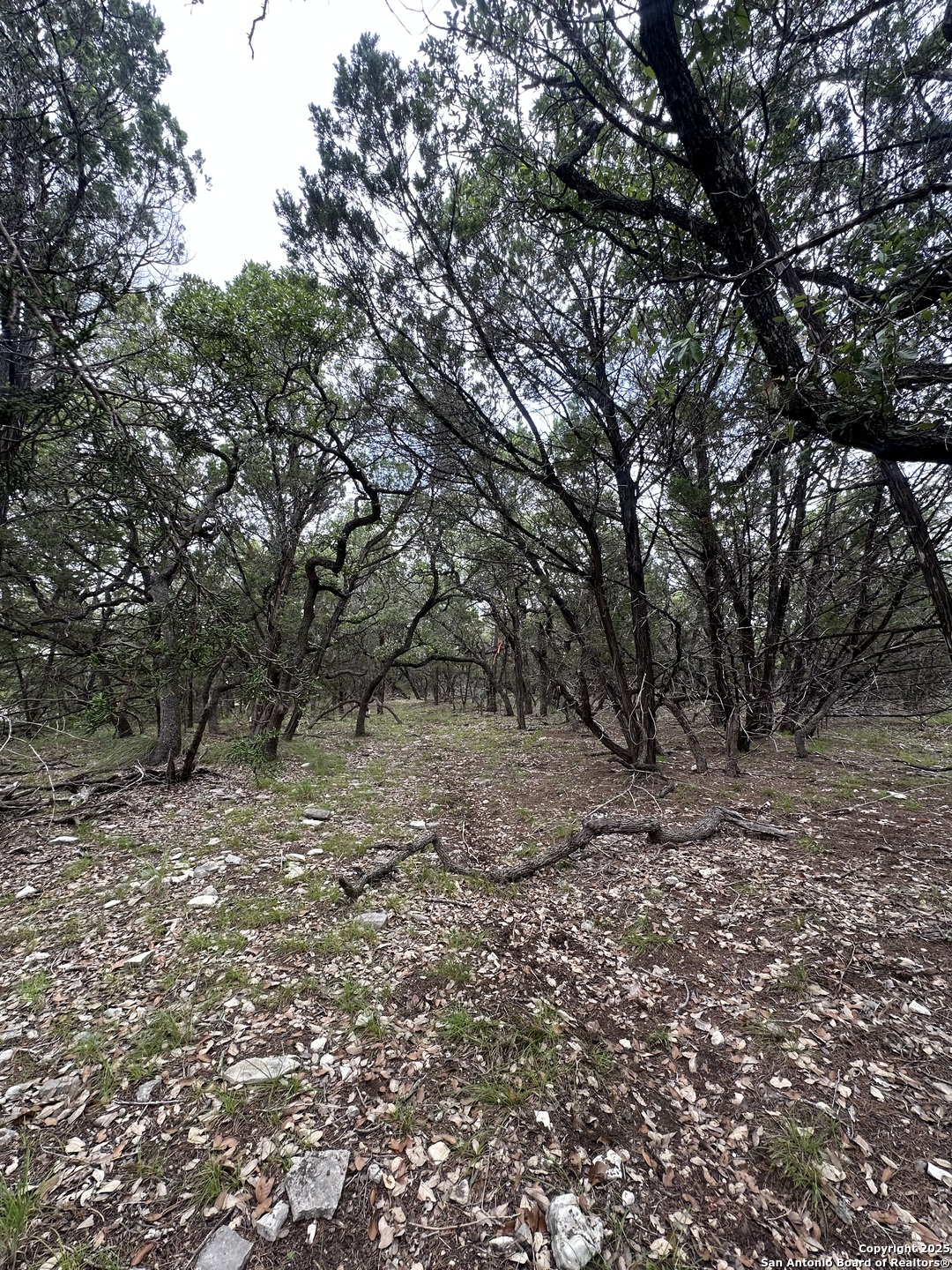 Unit 12 Block 7 Track 4 5 6 San Antonio, TX 78260 - Photo 8 of 9 a view of a yard with a tree