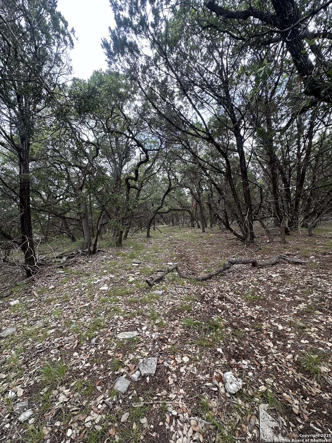 Unit 12 Block 7 Track 4 5 6 San Antonio, TX 78260 - Photo 9 of 9 a view of a forest with trees in the background