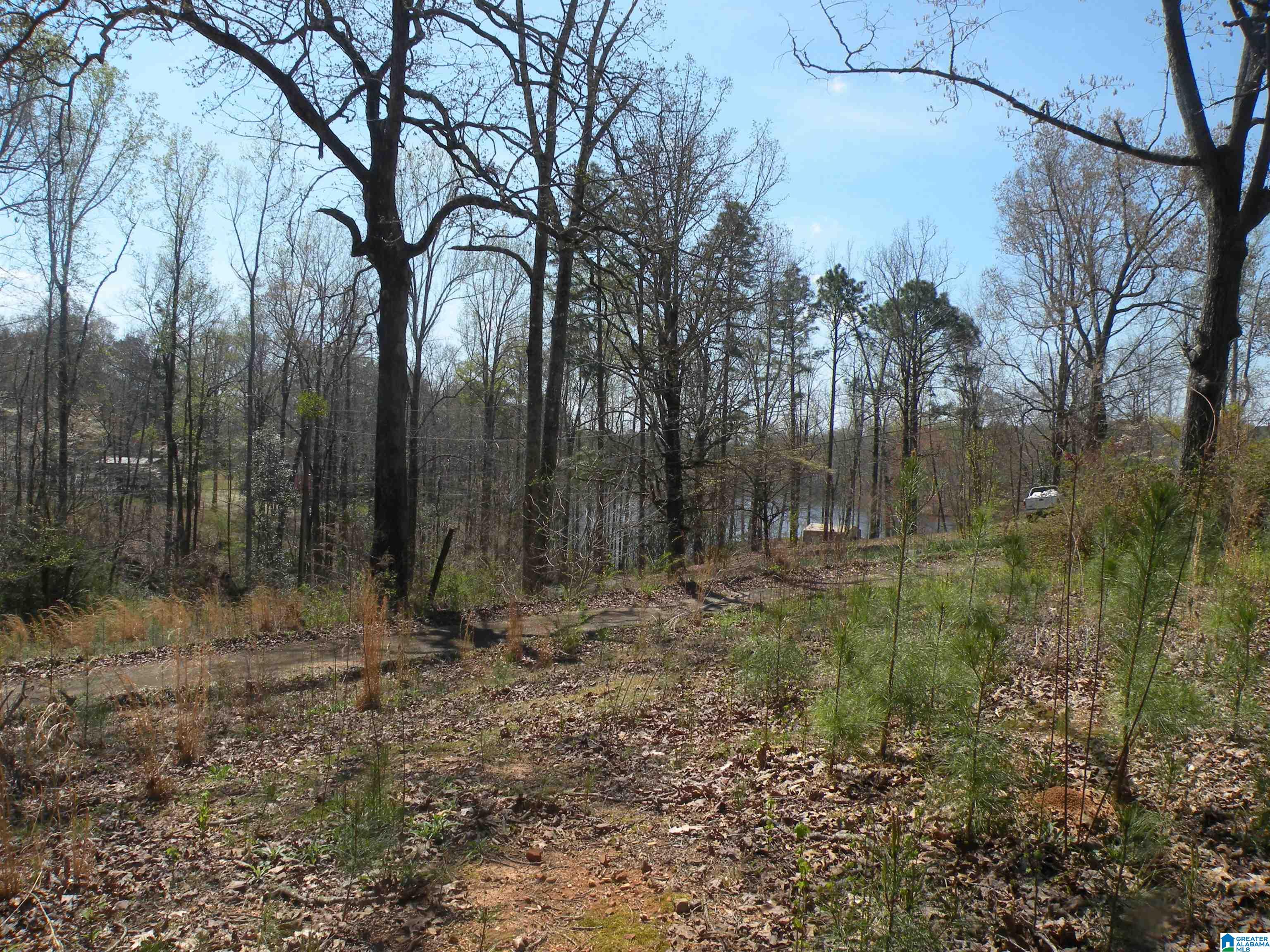 152 Honeysuckle Road Sylacauga, AL 35150 - Photo 1 of 8