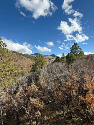 a view of a backyard of the house