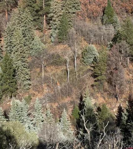 a backyard of a house