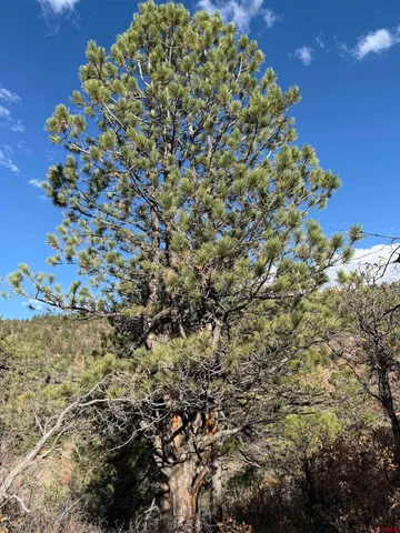 a view of a lake with a yard