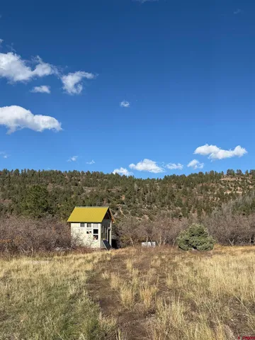 a view of a tree in a yard