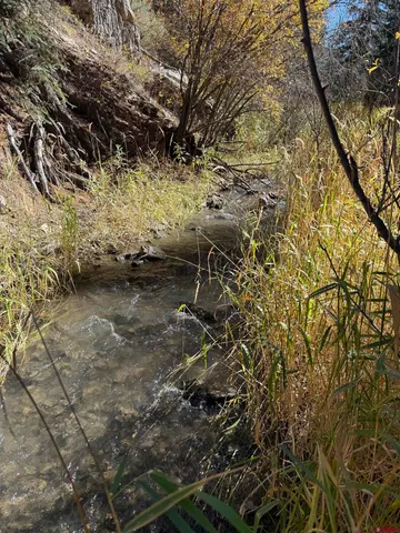 $395,000 | Tbd Alder Cayon Road, Placerville, CO 81430