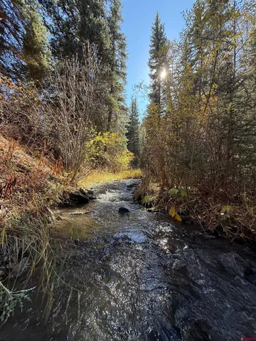 $395,000 | Tbd Alder Cayon Road, Placerville, CO 81430