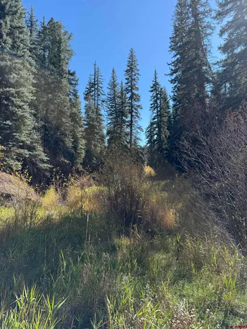 $395,000 | Tbd Alder Cayon Road, Placerville, CO 81430