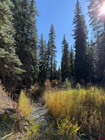 $395,000 | Tbd Alder Cayon Road, Placerville, CO 81430