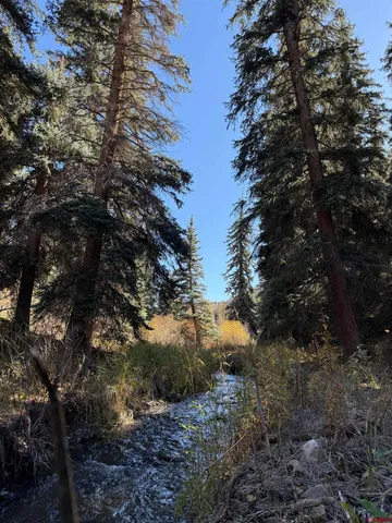 $395,000 | Tbd Alder Cayon Road, Placerville, CO 81430