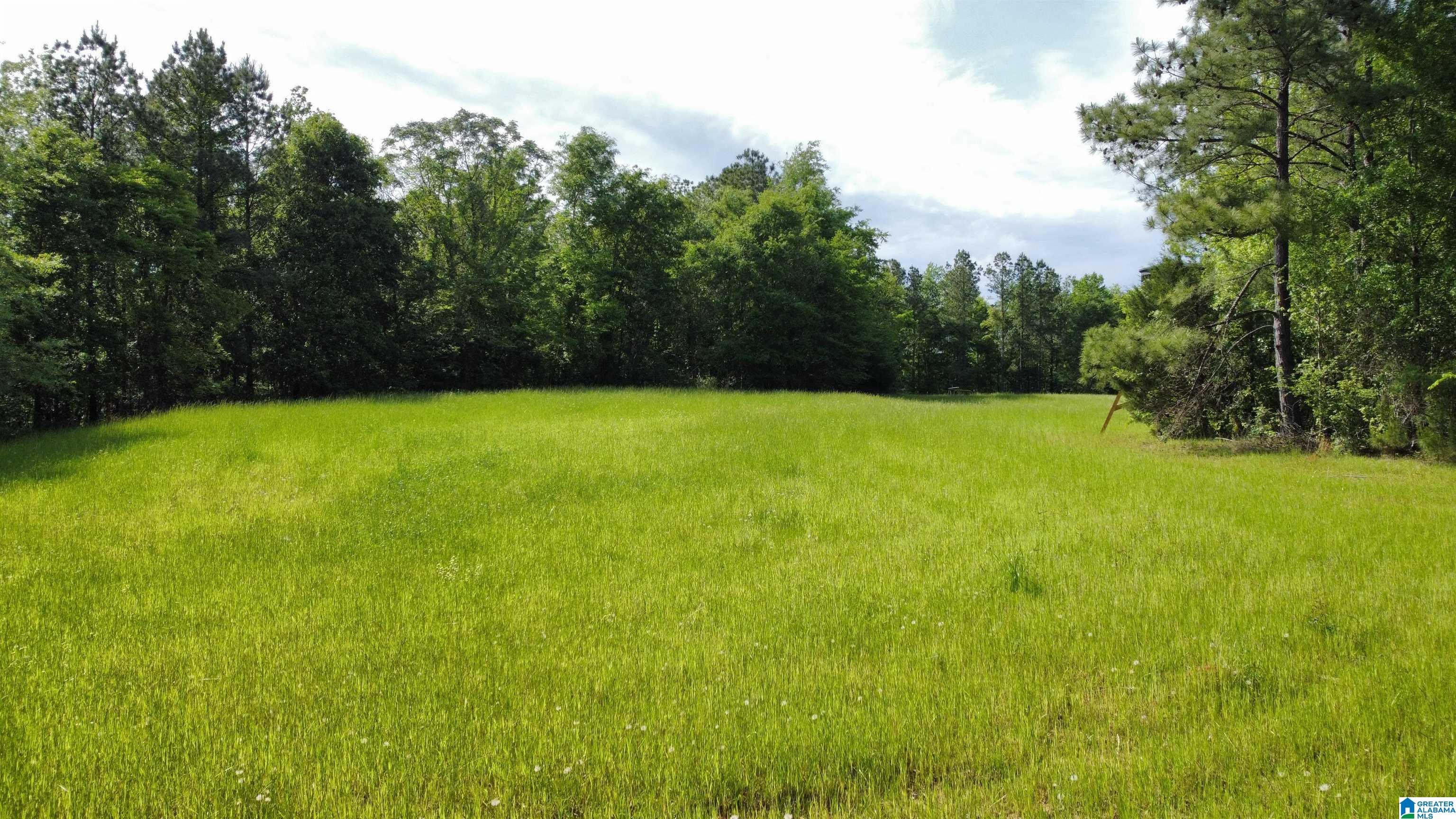 0 County Road 44 Linden, AL 36748 - Photo 1 of 48