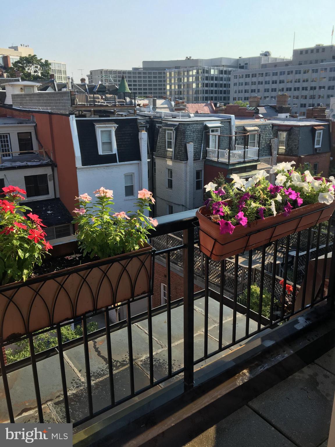 2125 S Street Northwest, Unit PH2 Washington, DC 20008 - Photo 23 of 29 Primary bedroom view