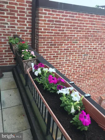 $7,000 | 2125 S Street Northwest, Unit PH2, Washington, DC 20008