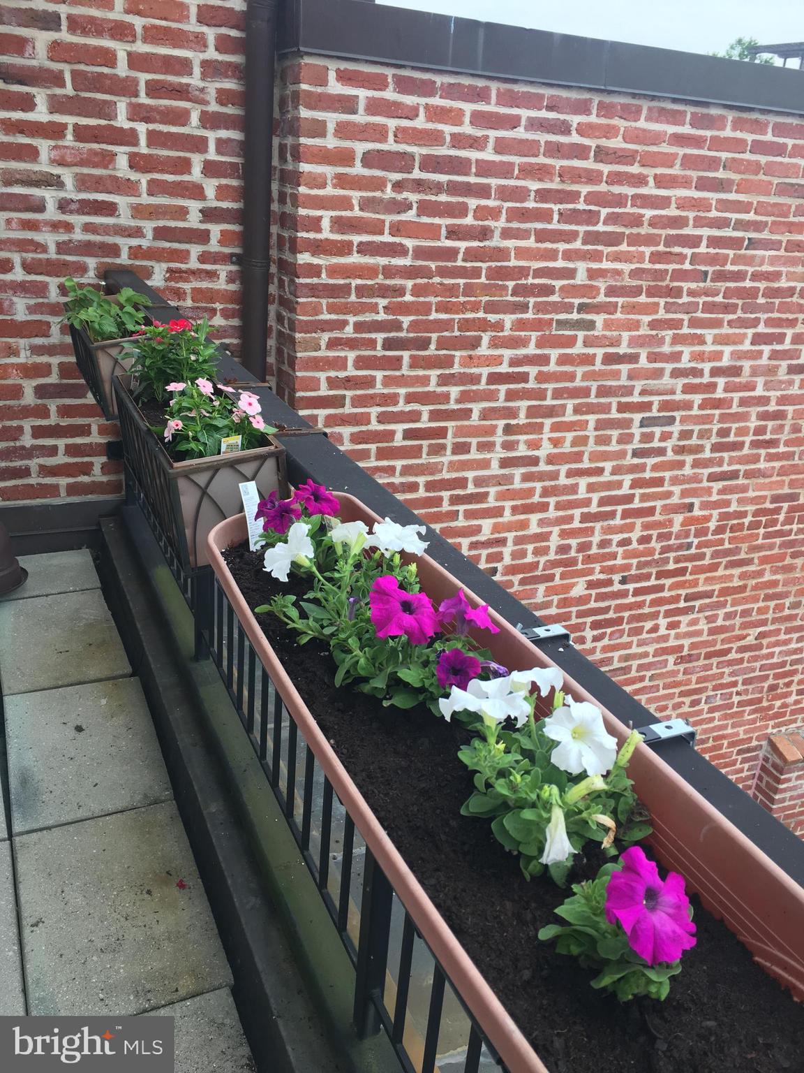 2125 S Street Northwest, Unit PH2 Washington, DC 20008 - Photo 24 of 29 Primary bedroom balcony