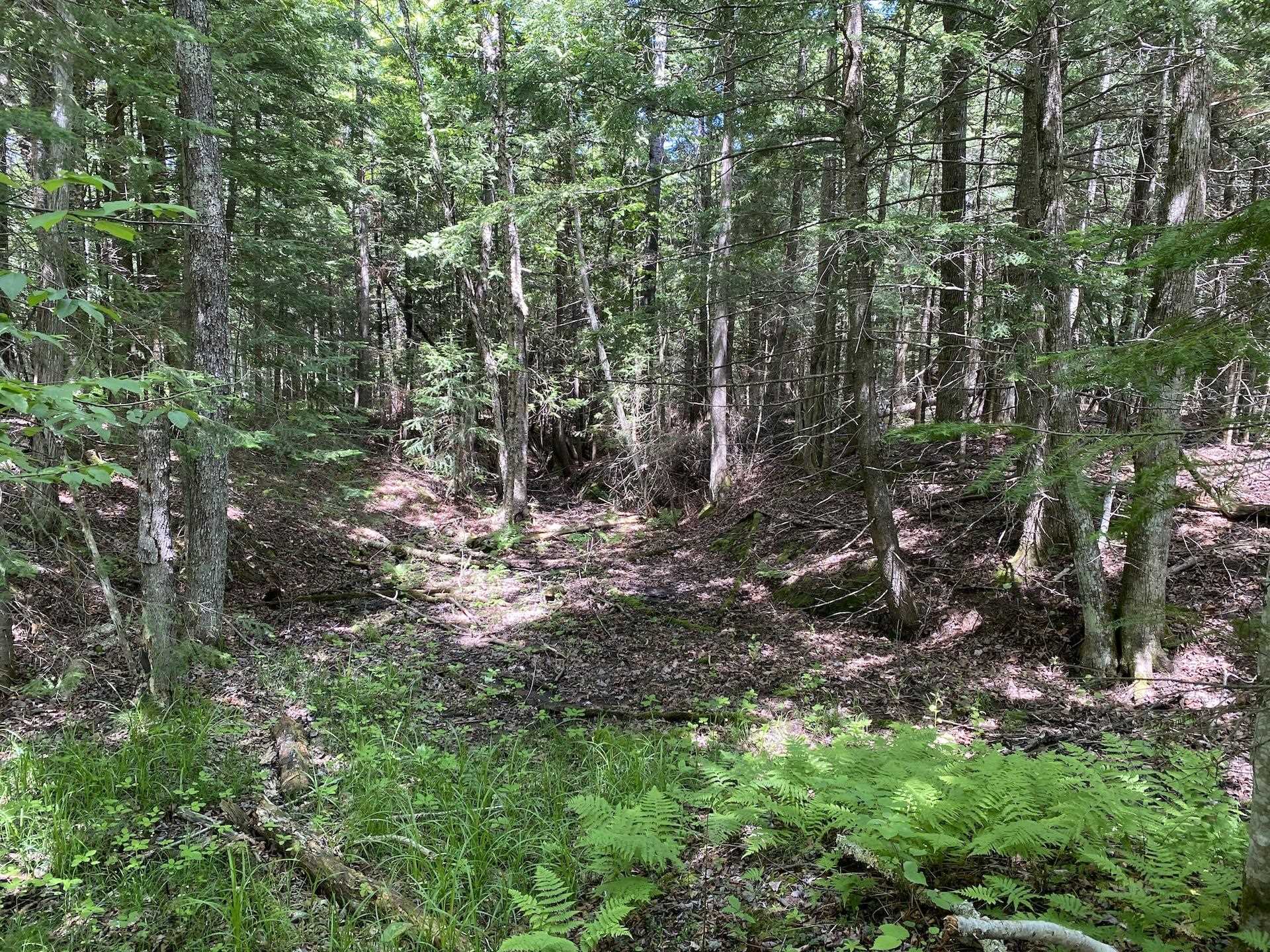 0 North Maple Hill Road Washburn, WI 54891 - Photo 13 of 37 Gallery Image 13