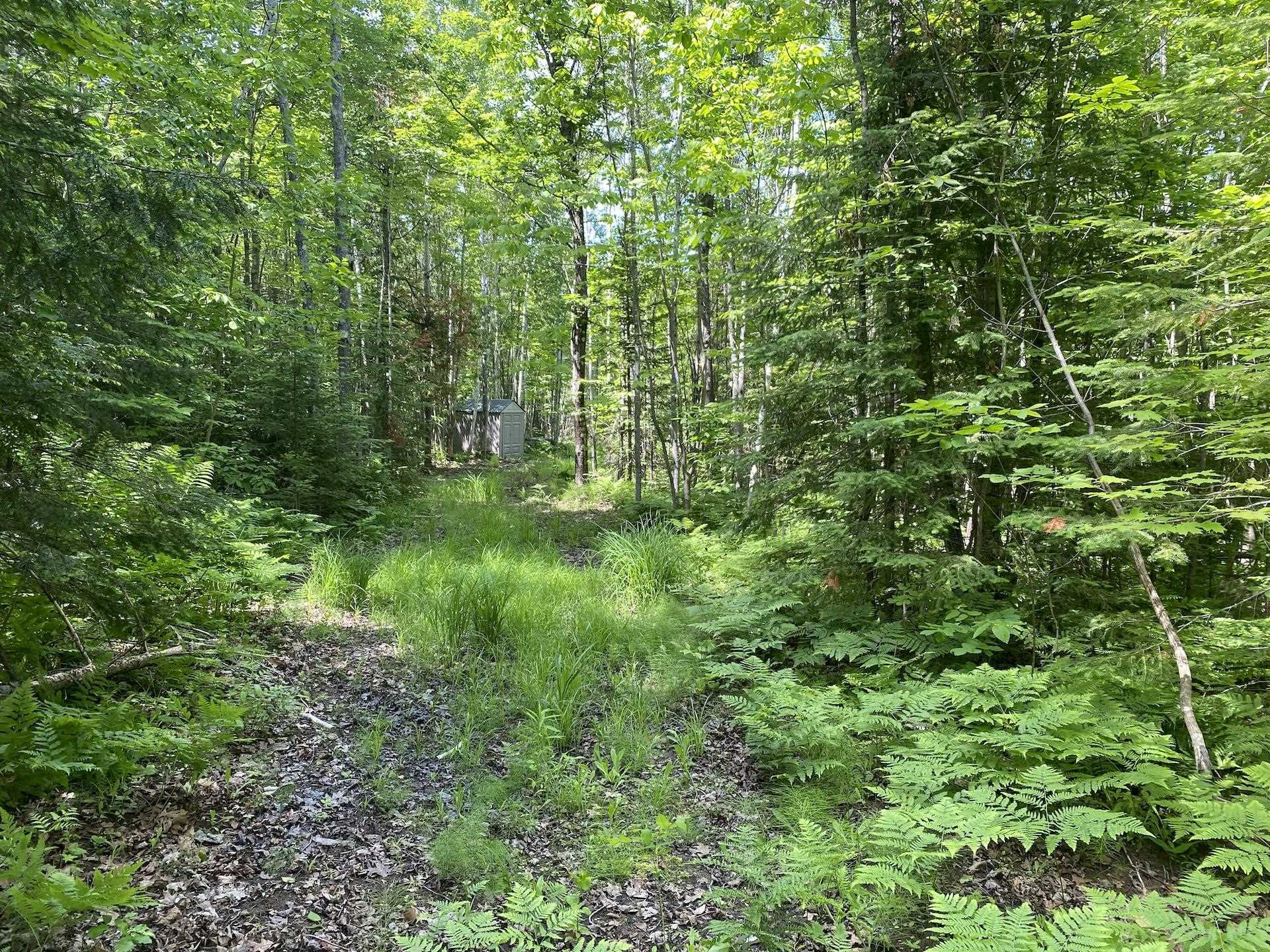 0 North Maple Hill Road Washburn, WI 54891 - Photo 22 of 37 Gallery Image 22