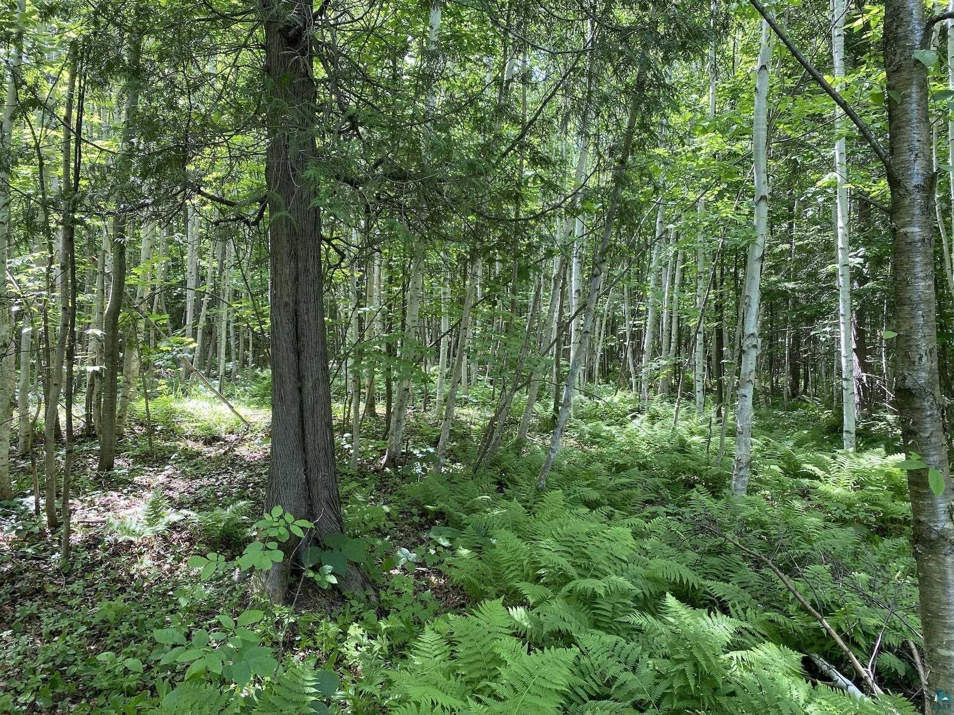 0 North Maple Hill Road Washburn, WI 54891 - Photo 26 of 37 Gallery Image 26
