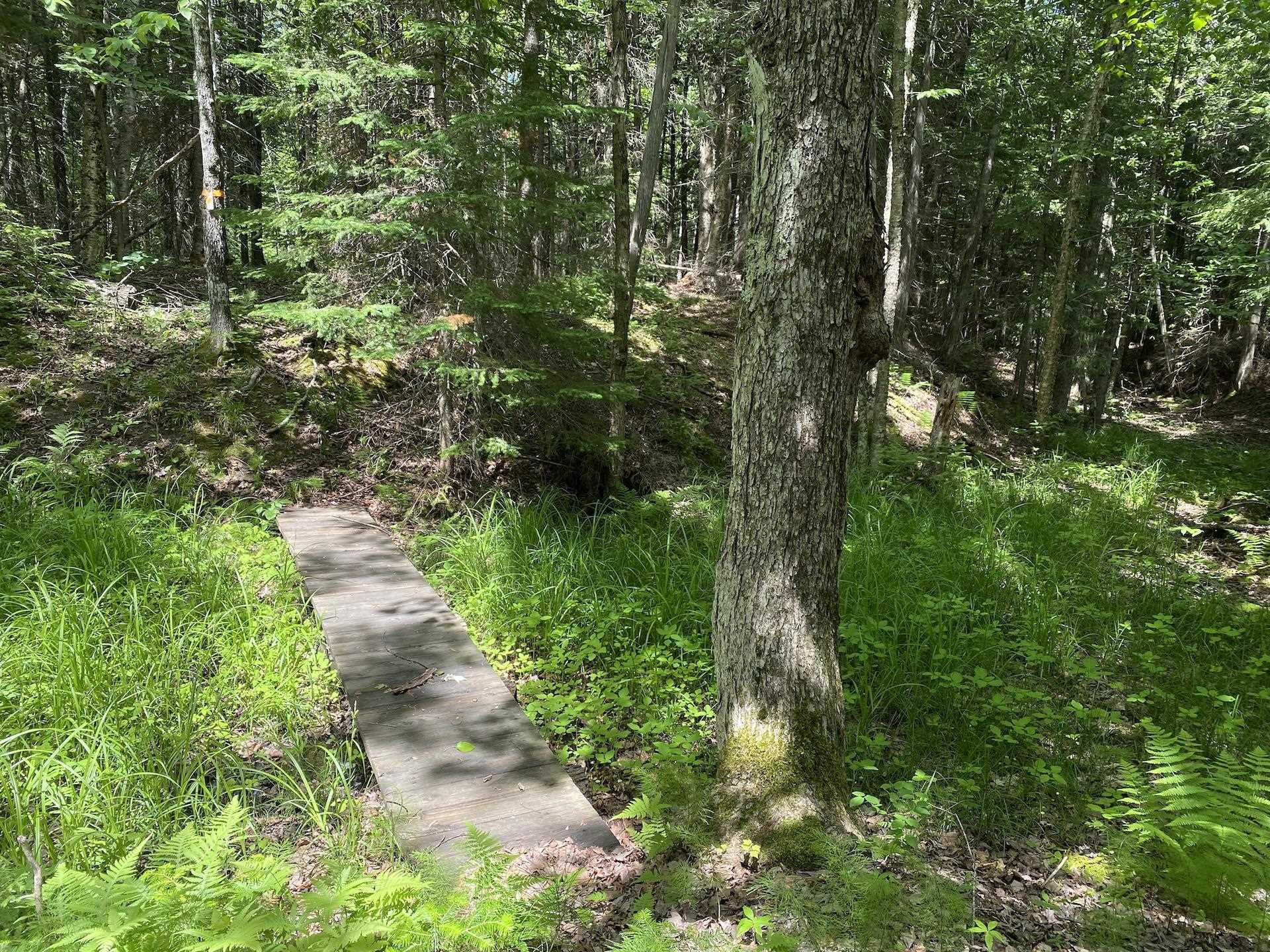 0 North Maple Hill Road Washburn, WI 54891 - Photo 29 of 37 Gallery Image 29