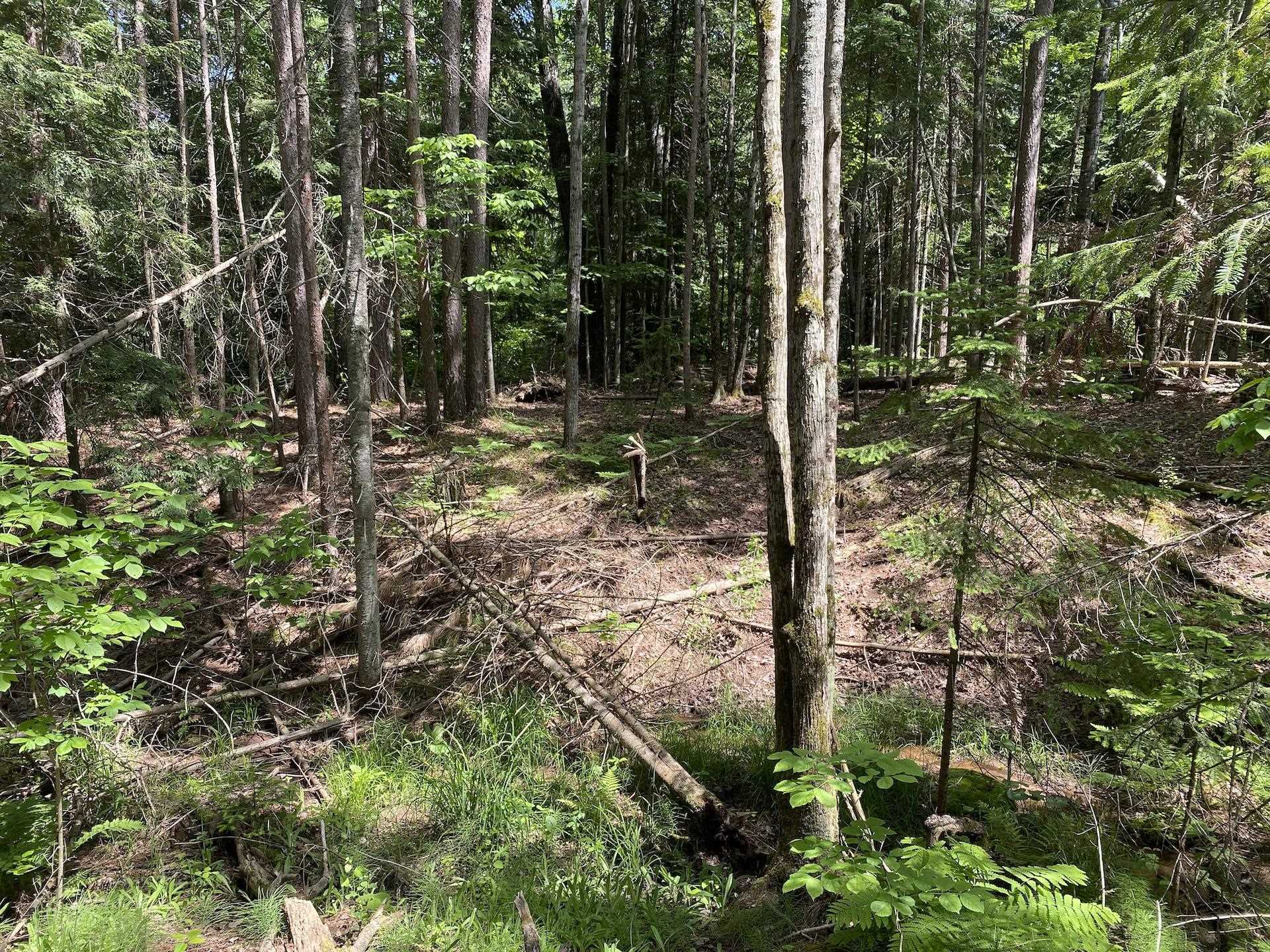 0 North Maple Hill Road Washburn, WI 54891 - Photo 31 of 37 Gallery Image 31