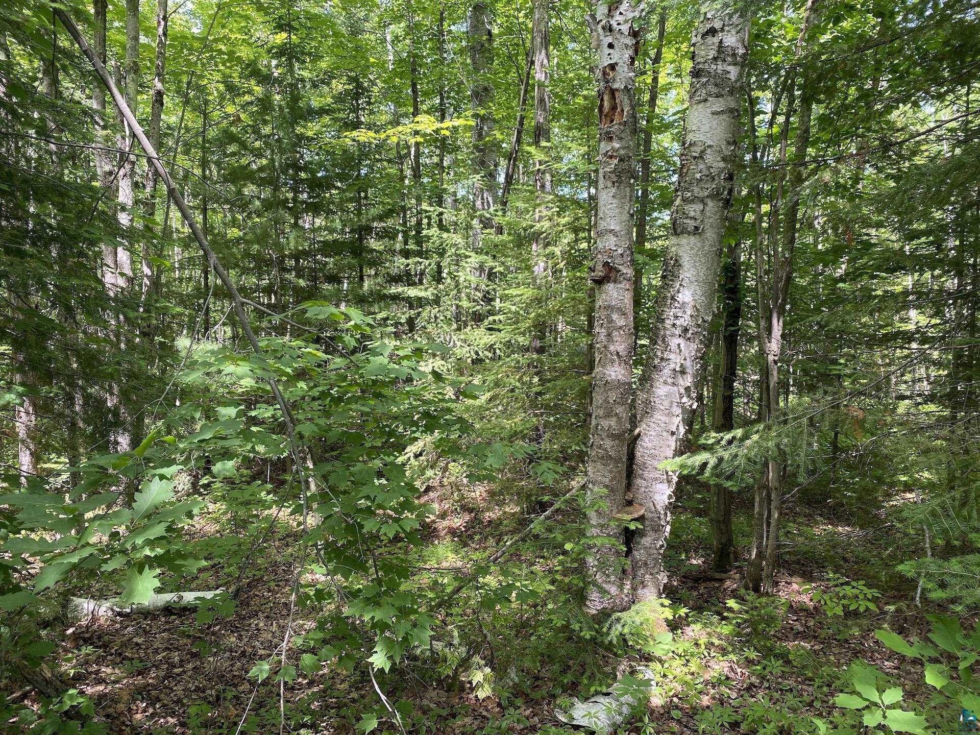 0 North Maple Hill Road Washburn, WI 54891 - Photo 34 of 37 Gallery Image 34