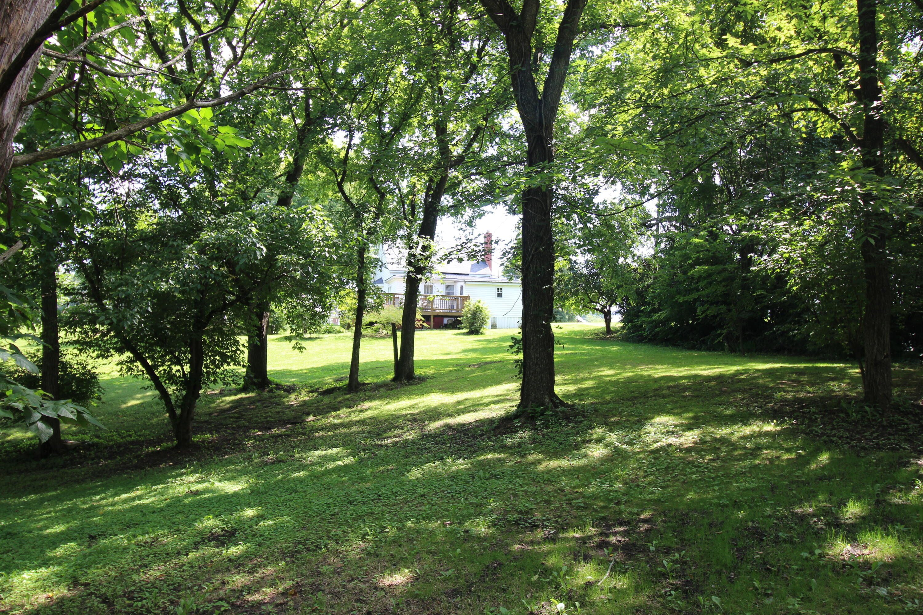 1225 Winston Road Irvine, KY 40336 - Photo 58 of 68 Backyard