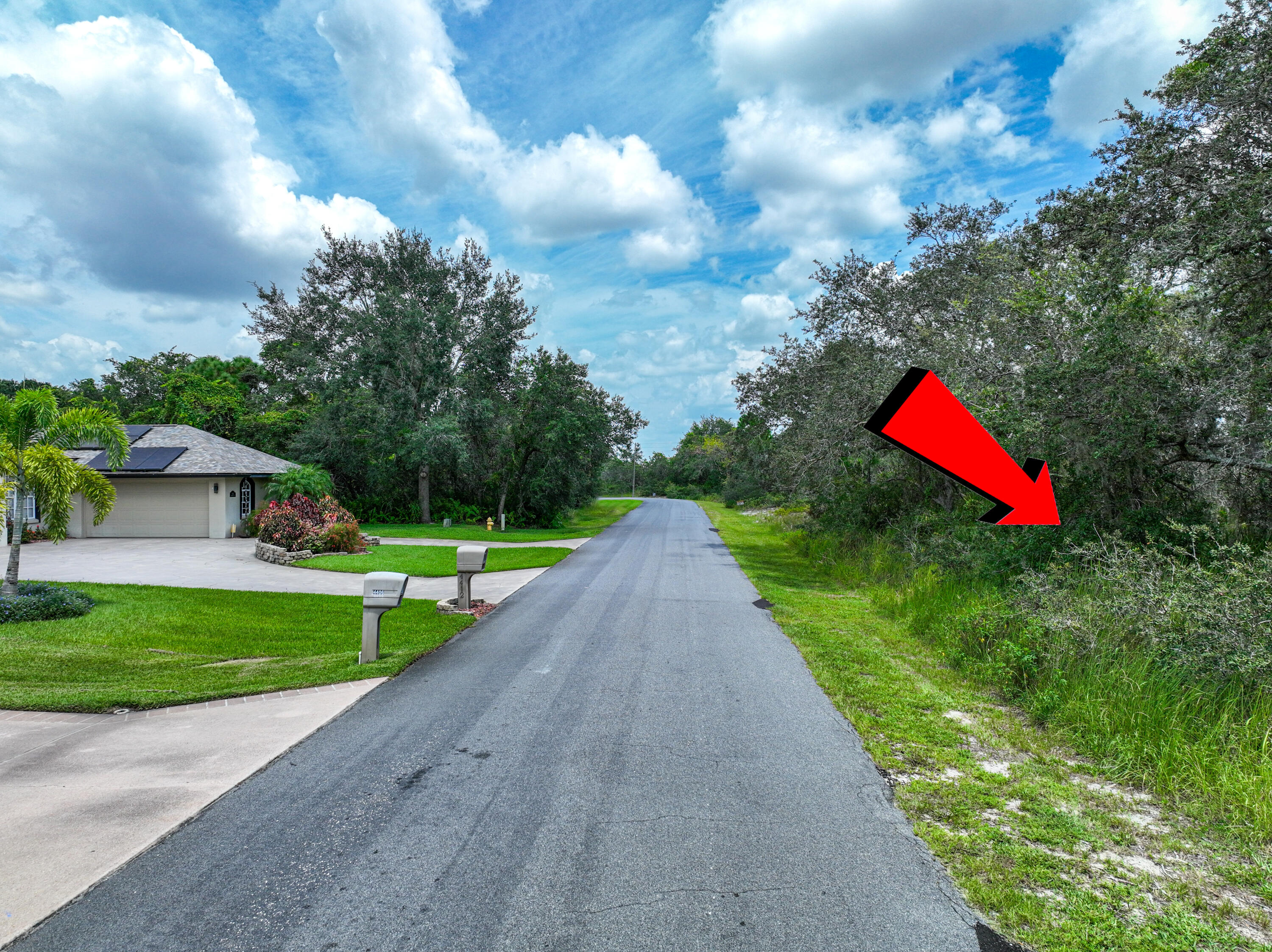 4411 Cremona Drive Sebring, FL 33872 - Photo 8 of 8 a view of a park with large trees