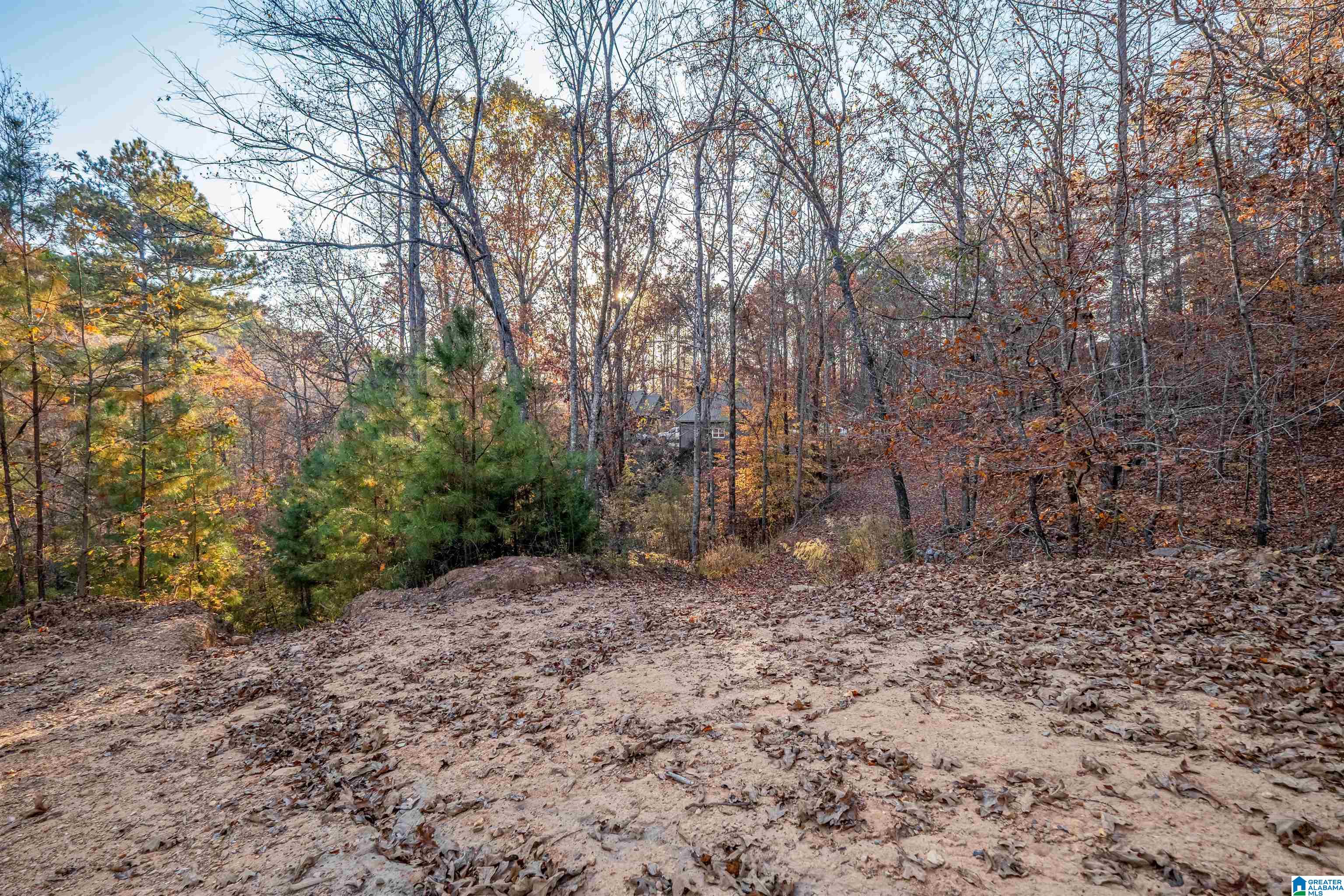 1595 Mohawk Cliff Road Ohatchee, AL 36271 - Photo 62 of 65