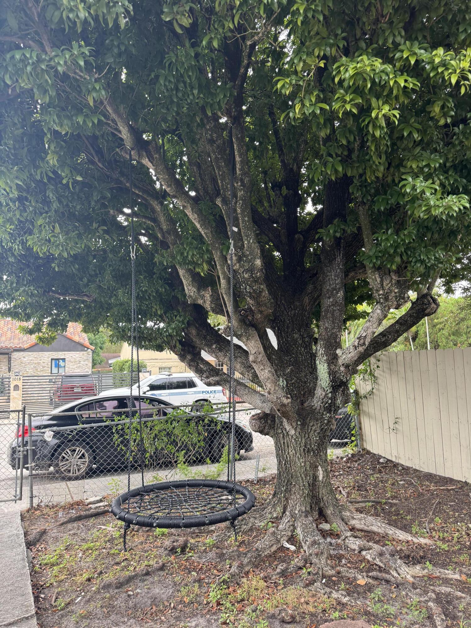 1017 Northwest 47th Street Miami, FL 33127 - Photo 10 of 18 a tree in a backyard of a house