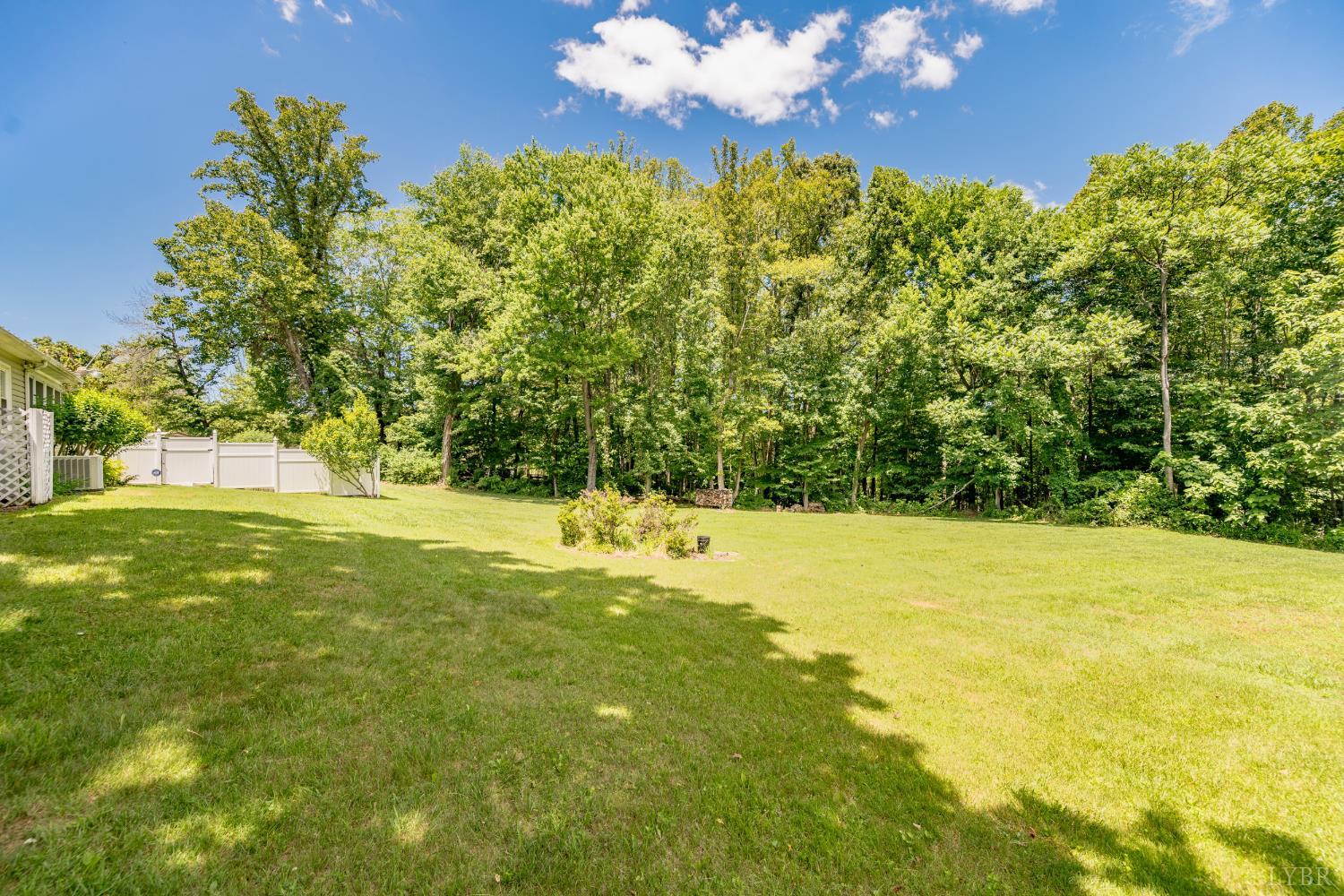 232 Elon Road Madison Heights, VA 24572 - Photo 56 of 65