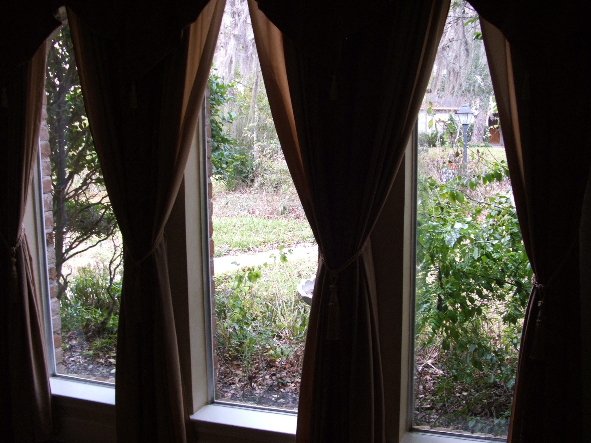 8231 Fernbrook Lane Houston, TX 77070 - Photo 4 of 12 a close view of window