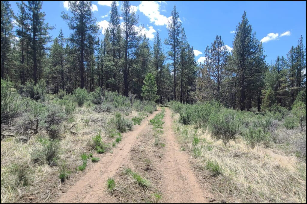 288110 Tableland Road Chiloquin, OR 97624 - Photo 9 of 24 07