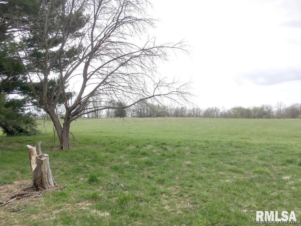 6360 Mottar Road Rochester, IL 62563 - Photo 34 of 36