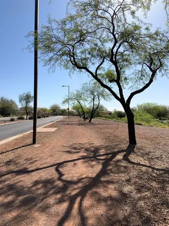$1,695 | 22407 West Morning Glory Street, Buckeye, AZ 85326