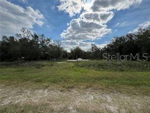 17878 Northwest 286th Street Okeechobee, FL 34972 - Photo 1 of 2 a view of a field